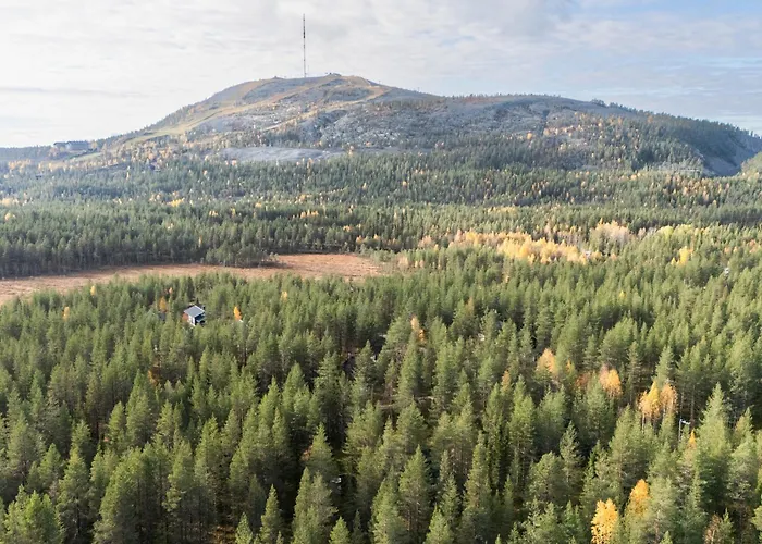 Laavu 13 Original Log With Sauna Daire